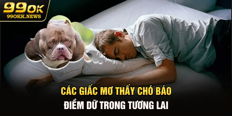 Các giấc mơ thấy chó báo điềm dữ trong tương lai