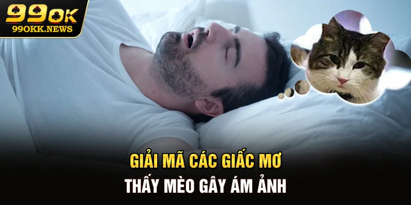 Giải mã các giấc mơ thấy mèo gây ám ảnh