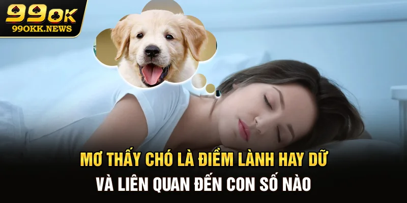 Mơ Thấy Chó Là Điềm Lành Hay Dữ Và Liên Quan Đến Con Số Nào?