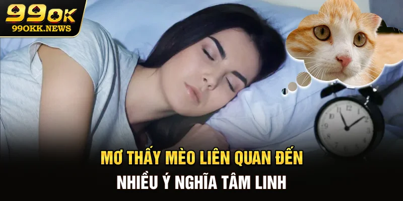 Mơ thấy mèo liên quan đến nhiều ý nghĩa tâm linh
