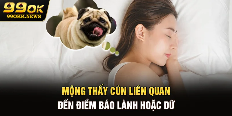 Mộng thấy cún liên quan đến điềm báo lành hoặc dữ